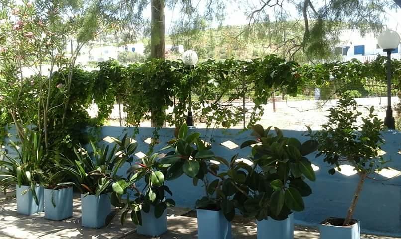 Pension Balos Koumeika ภายนอก รูปภาพ